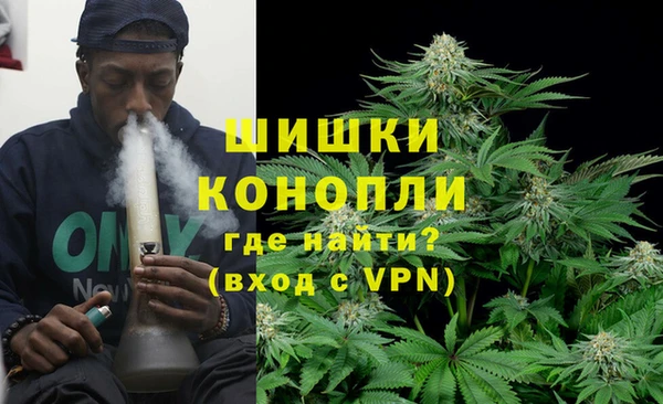 ГАЛЛЮЦИНОГЕННЫЕ ГРИБЫ Надым
