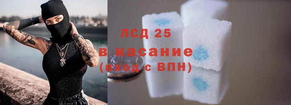 СК Михайлов