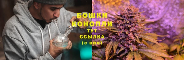 метадон Бикин