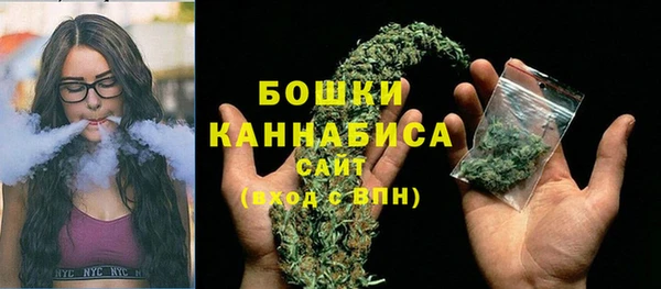 СК Михайлов