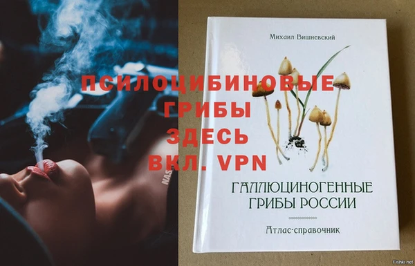 СК Михайлов