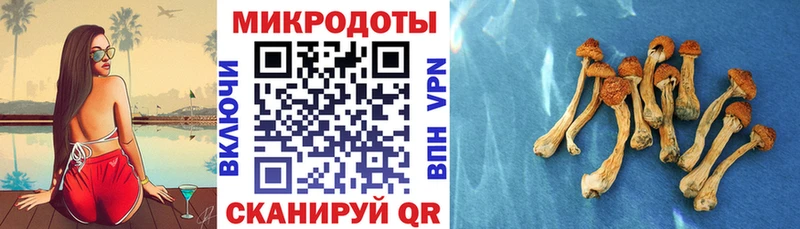 наркотики Ужур Псилоцибиновые грибы мухоморы